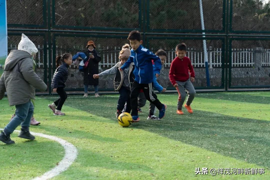 社区亲子足球活动主题,幼儿园足球嘉年华活动通知
