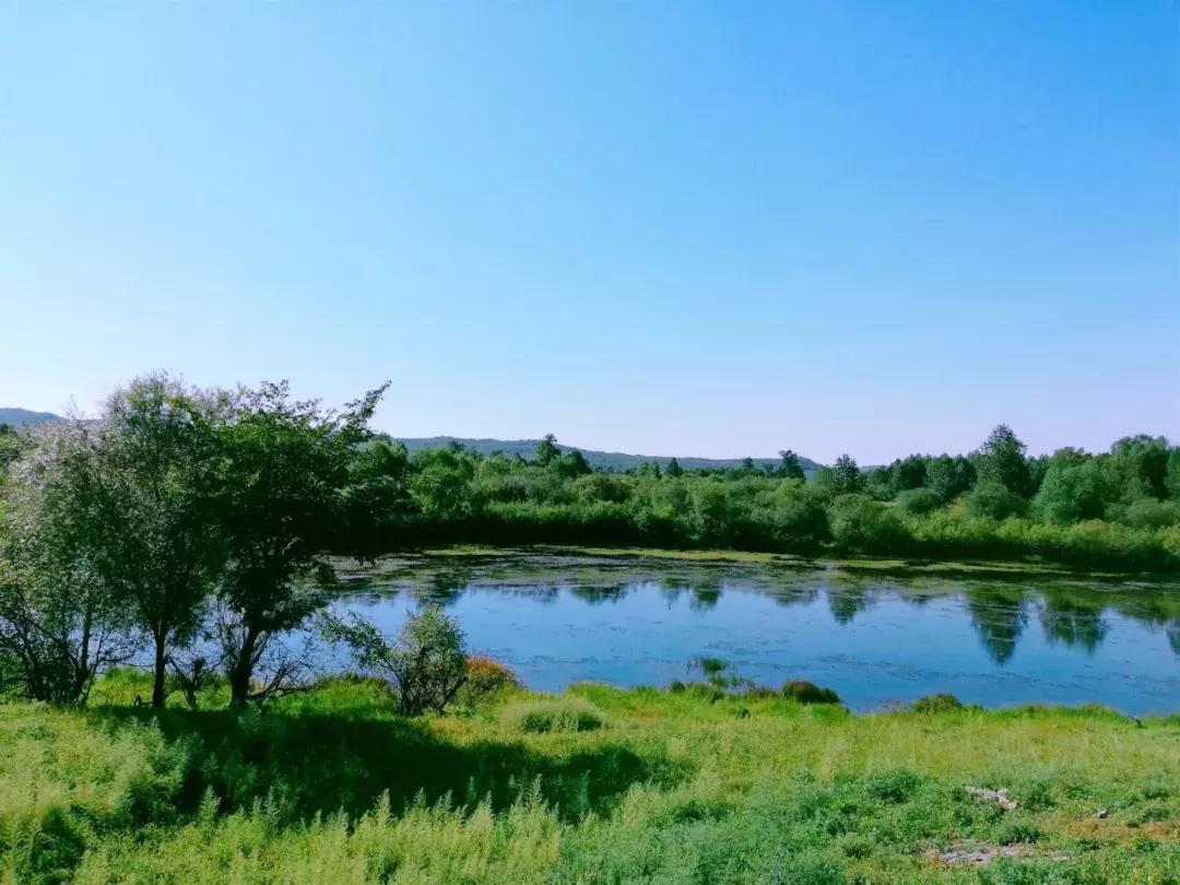 迟子建散文经典语句,迟子建散文人生感悟语句