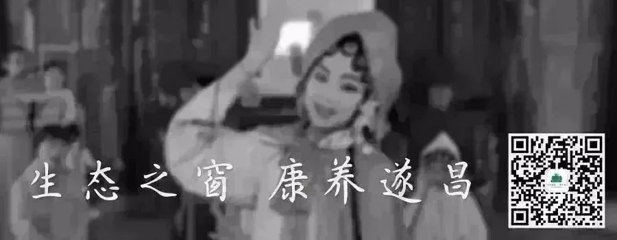 遂昌最漂亮的山路,遂昌最深的景点