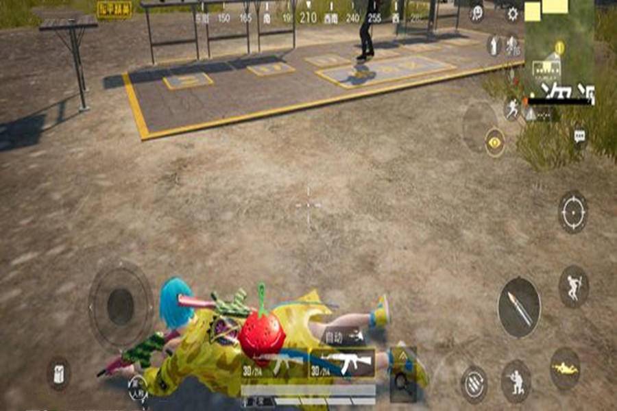 和平精英甜蜜菠萝配什么最好,和平精英菠萝衣服游戏效果