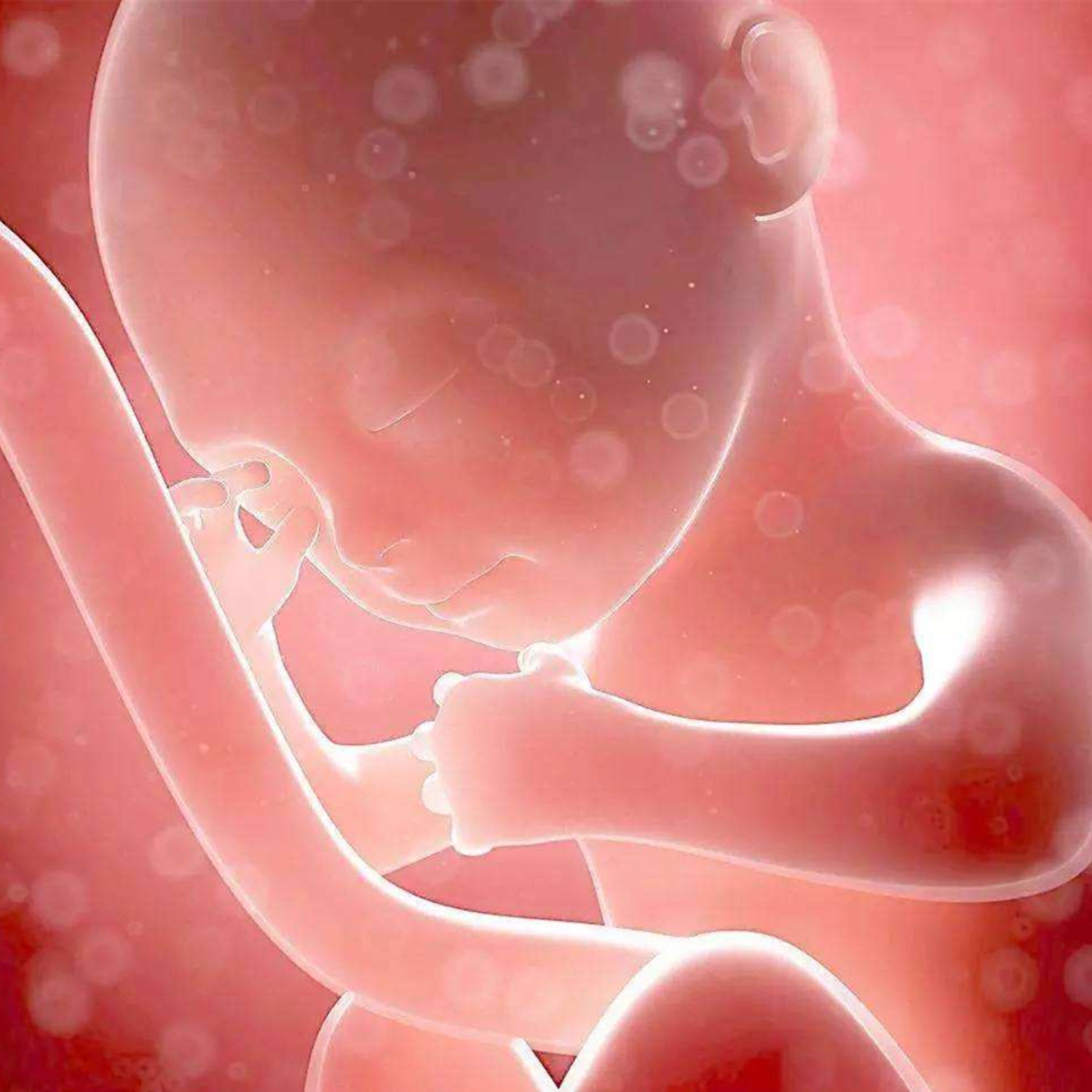 胎动频繁时怎么数胎动,胎动规律是怎么样的