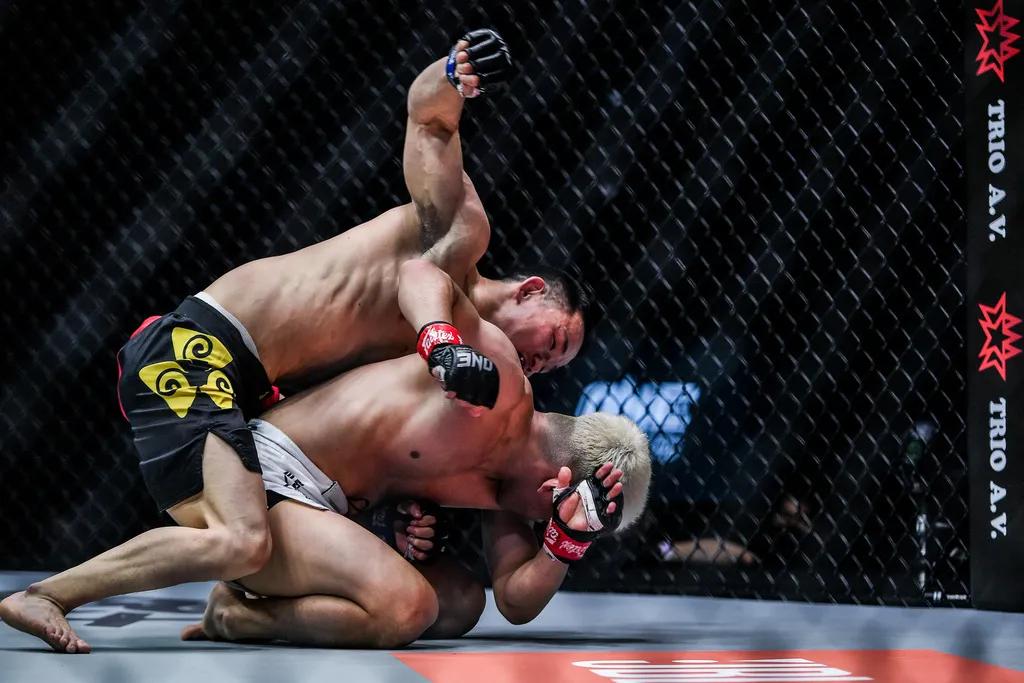 武林风少林小子比赛视频,少林武校小子打日本空手道冠军