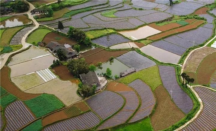 革命老区遵义贫困县全部出列