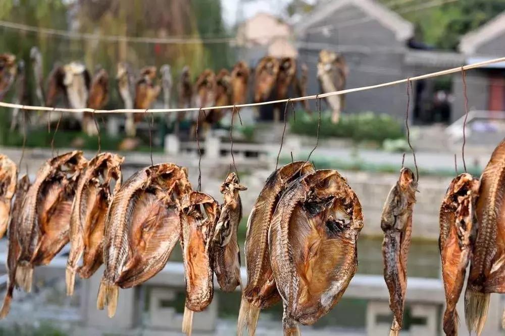 济宁免费游玩的好去处,济宁旅游夏天攻略图