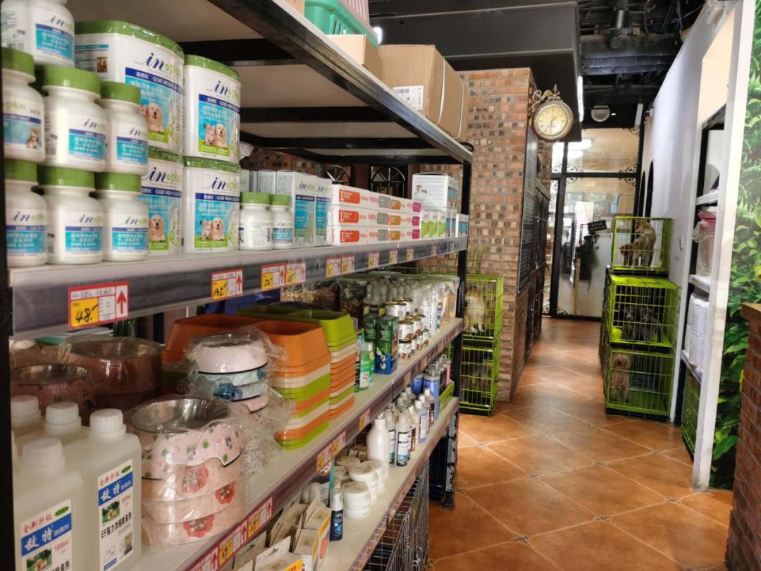 北京月流水超百万的猫狗活体专卖店，都有啥套路？