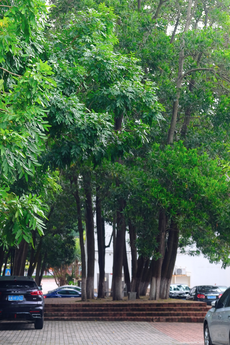 云浮小众旅游推荐,云浮小城