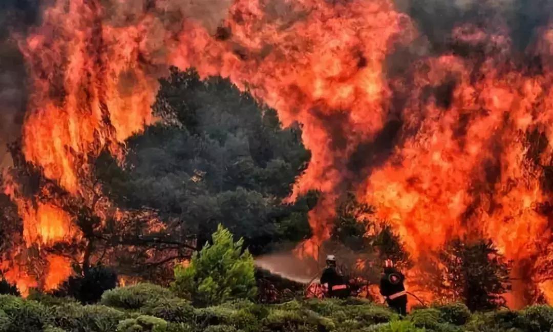 地球5年后的大灾难,地球病了会好起来吗