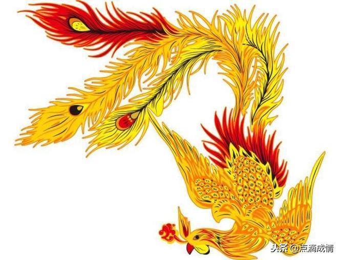 世界上真的有凤凰吗真实视频,世界上真的有凤凰视频吗