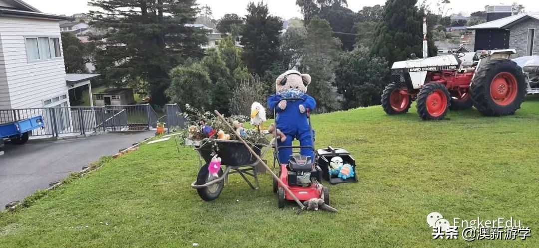 封城期间，玩偶一家的生活大揭秘