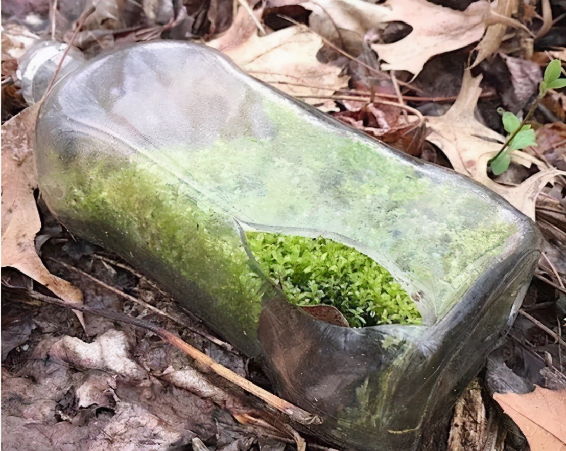 不是ps却胜似ps的28张神奇照片,看似ps却又真实的照片你见过没