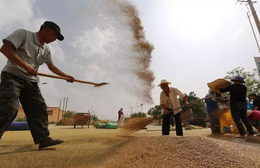 补贴来了苹果,惠民补贴未通过一卡通发放问题