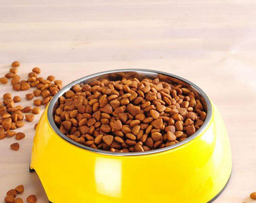 阿拉斯加挑食解决方法,阿拉斯加挑食解决办法