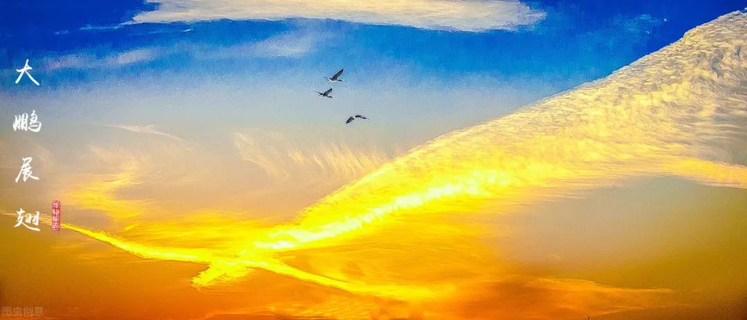 为什么中国武术能延续至今,中国传统武术的爆发力到底有多强