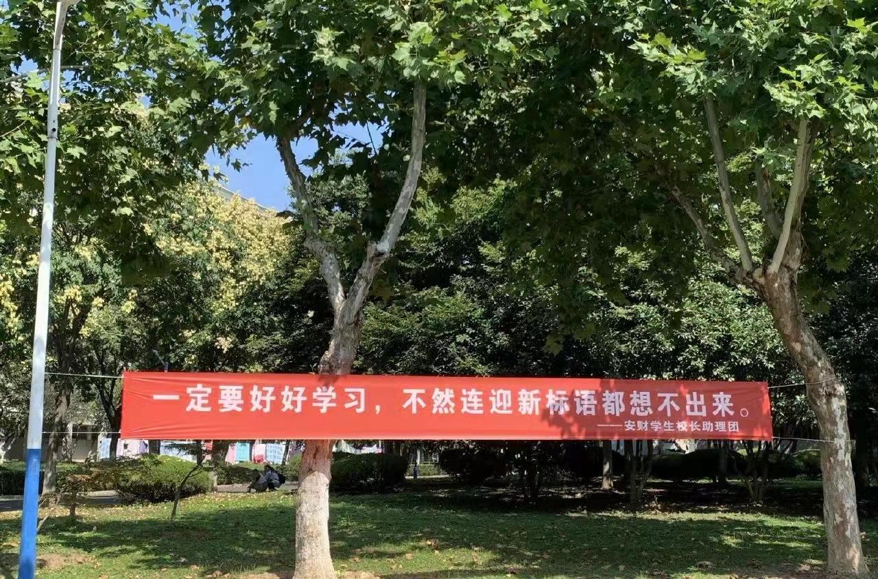 又是一年开学季,安徽财经大学迎新标语走红,网友笑出“鹅叫”