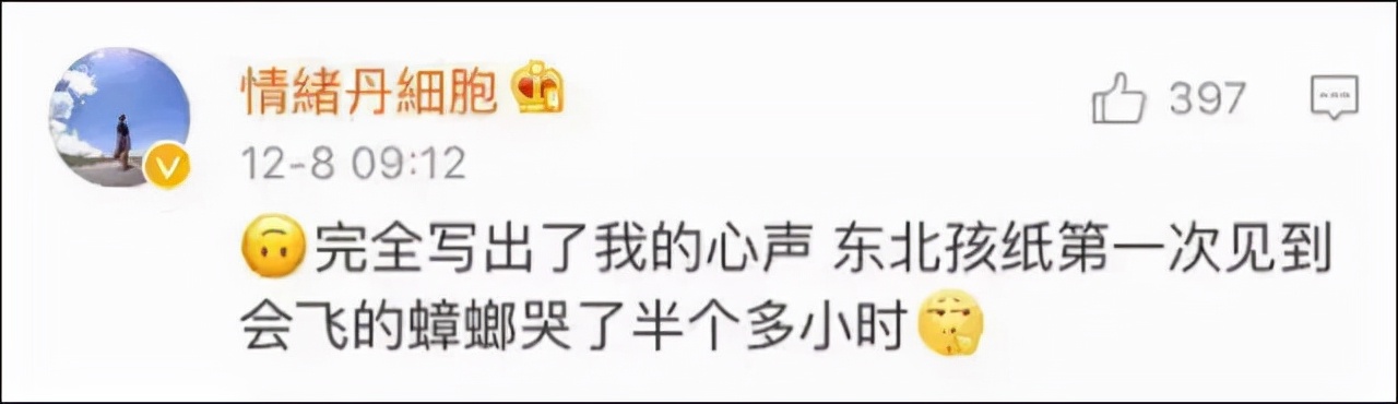 第一次看见会飞的蟑螂视频,孩子看到蟑螂