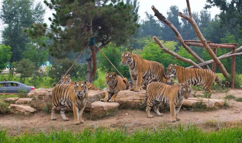 京津冀周边玩三天左右,京津冀十月旅游免费景区