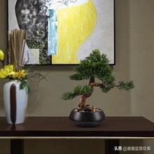 中华蚊母制作方法,中华蚊母的造型技巧