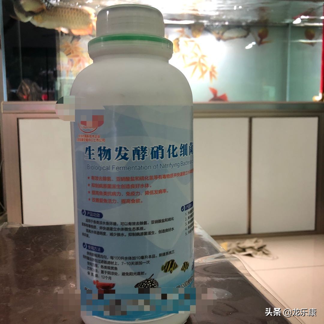 饲养魟鱼需要加硝化细菌么,养魟鱼为什么选择上滤缸