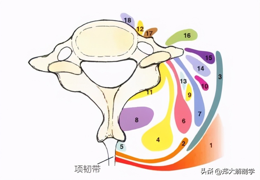 推拿颈椎手法,颈椎手法治疗立竿见影