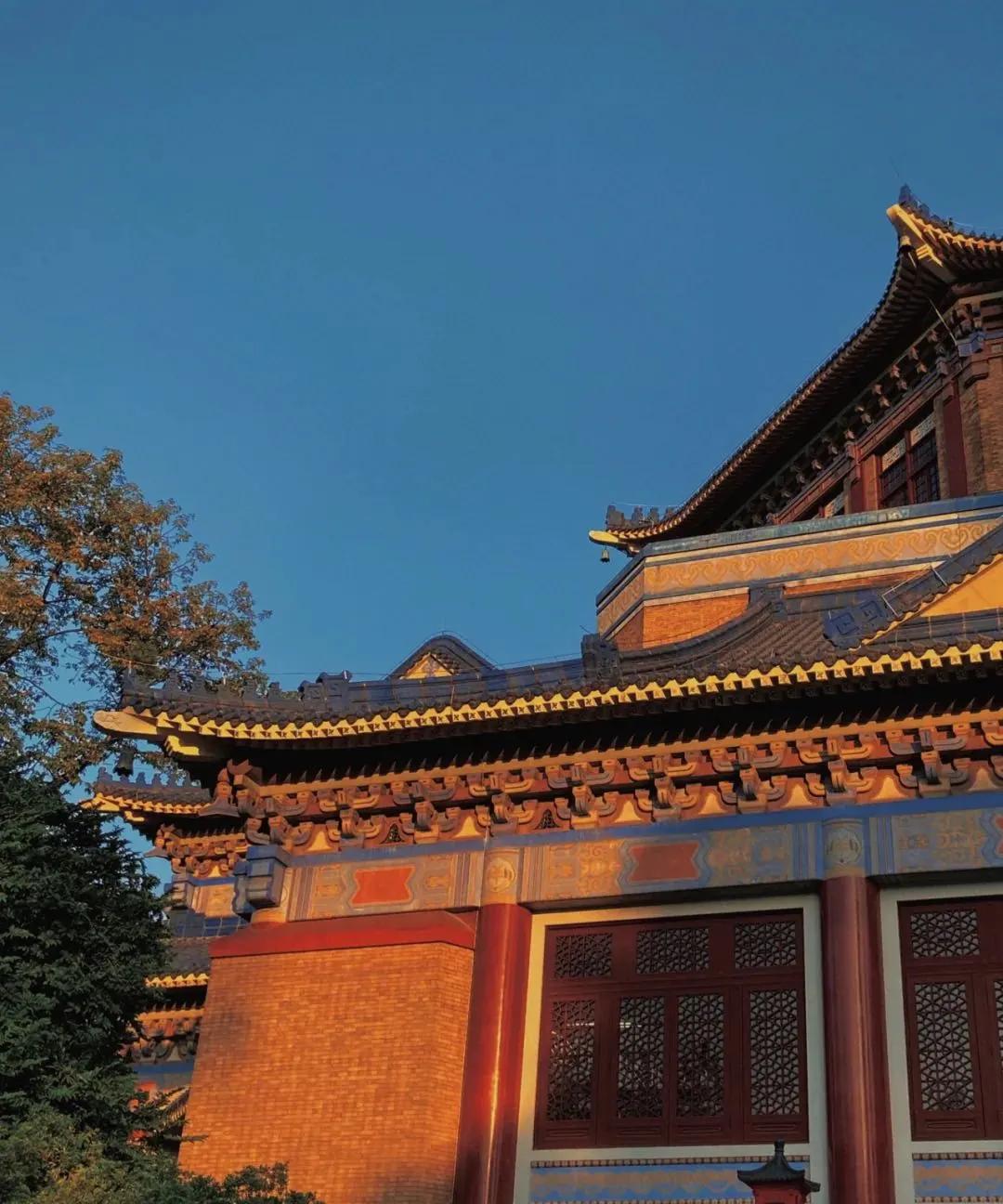 在这些城市上大学，真好