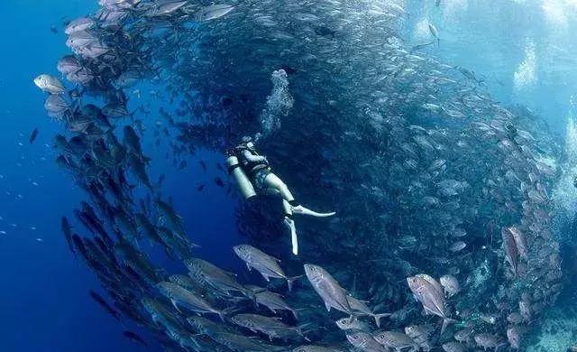 不出国门异域风光,不出国门就能看到各地风情