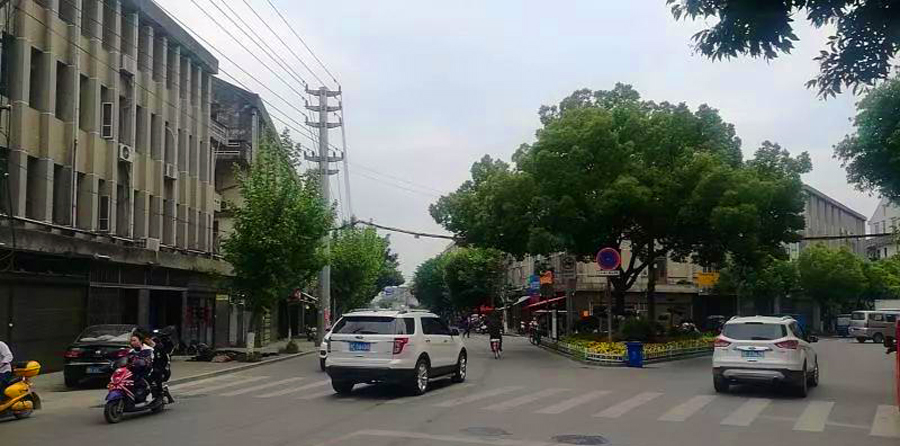 浙江苍南县有哪些乡镇,温州苍南城区面积