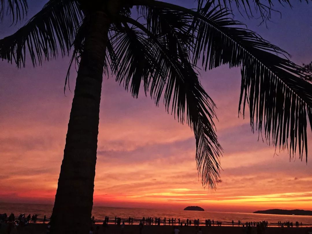 沙巴美食晚餐,沙巴岛美食排行榜
