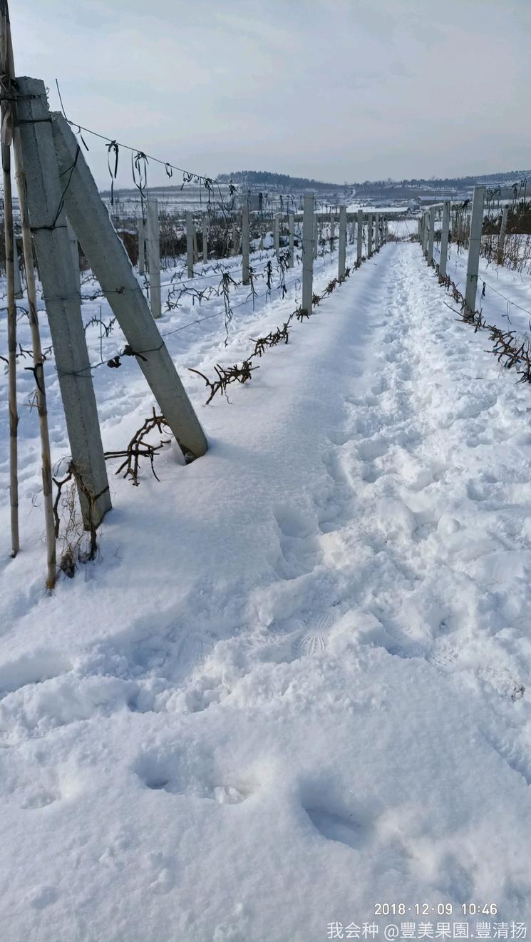 诗和远方在身边完整版,诗和远方在身边