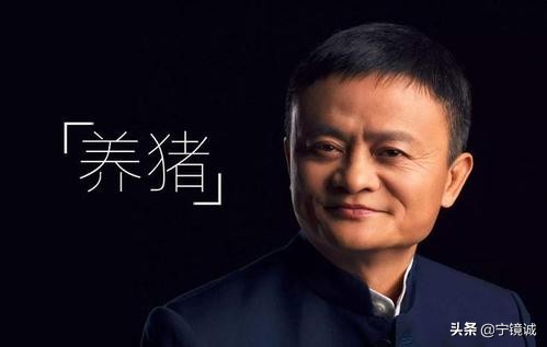 网易创始人丁磊的养猪梦想,网易创始人丁磊创业精神