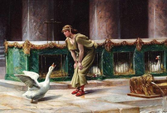 澳洲女子开窗发现蟒蛇,澳洲女子发现蟒蛇