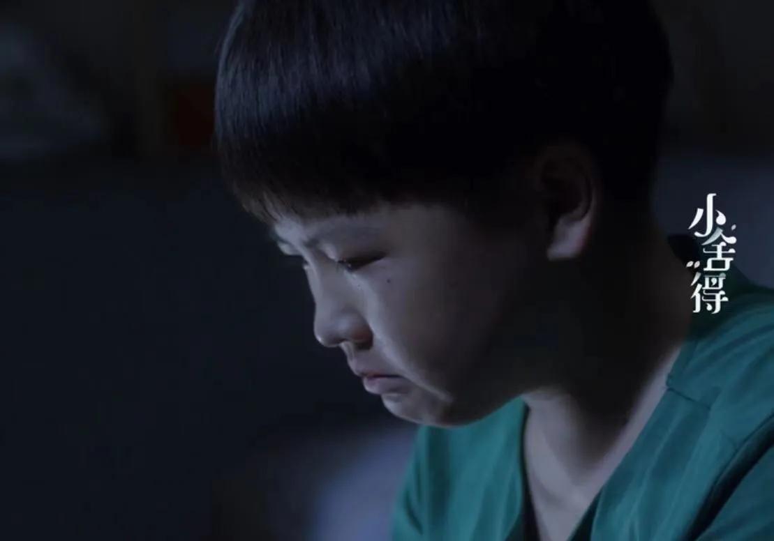 朝花夕拾中狗猫鼠的温馨回忆,狗猫鼠朝花夕拾