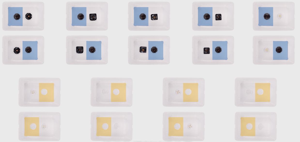 家中有蟑螂怎么一网打尽,家中发现一只蟑螂怎么办