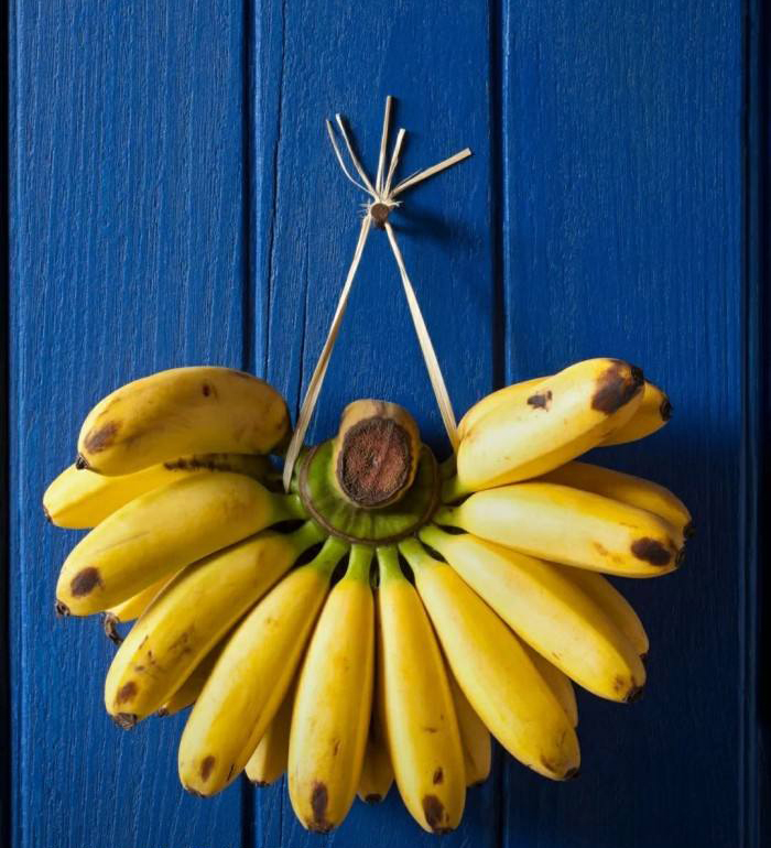 西双版纳原始森林各种好吃的水果,西双版纳必吃的水果有哪些