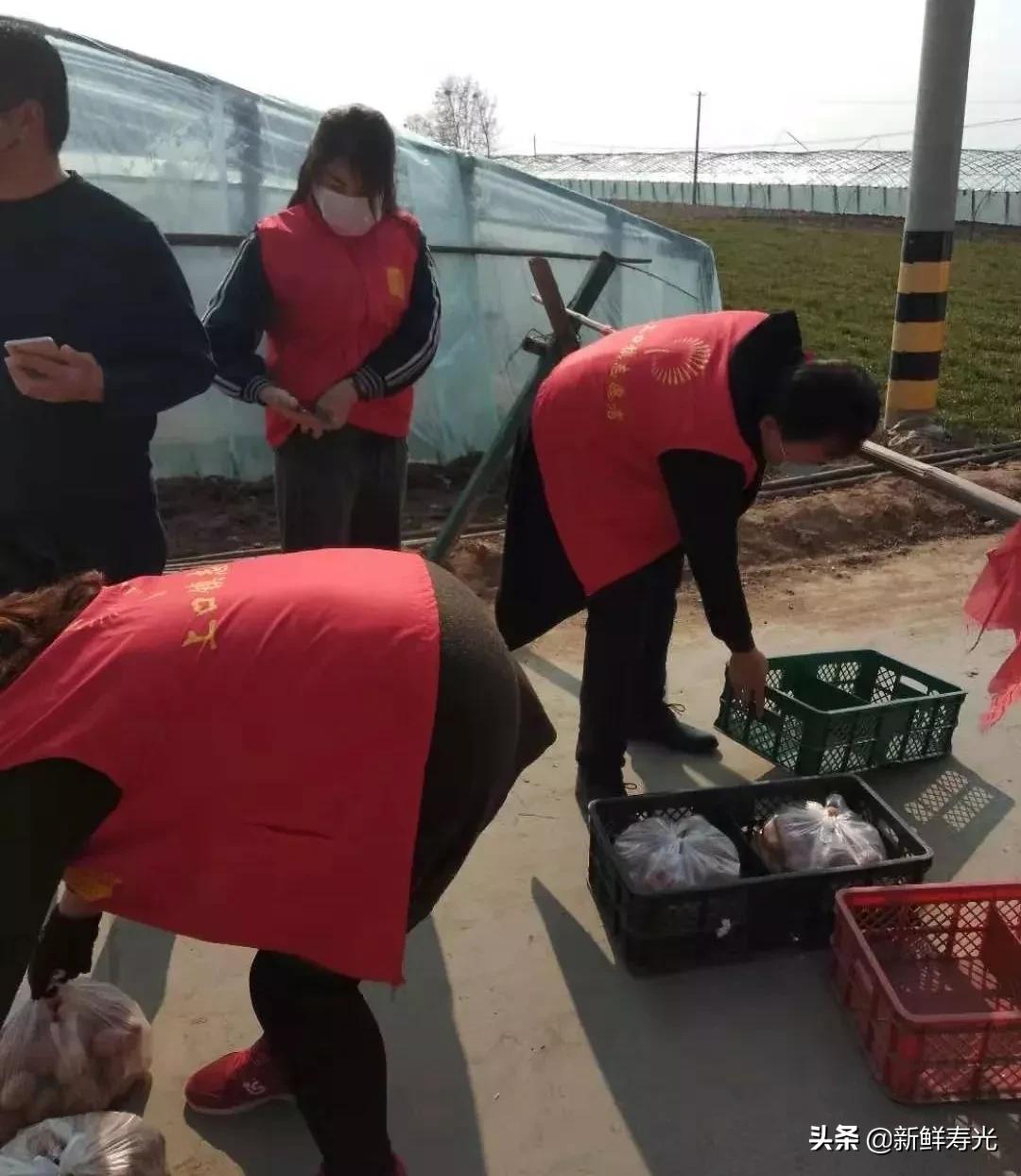 鐖变紶涓囧,鐖变紶涓囧澶у瀷鍏泭娲诲姩