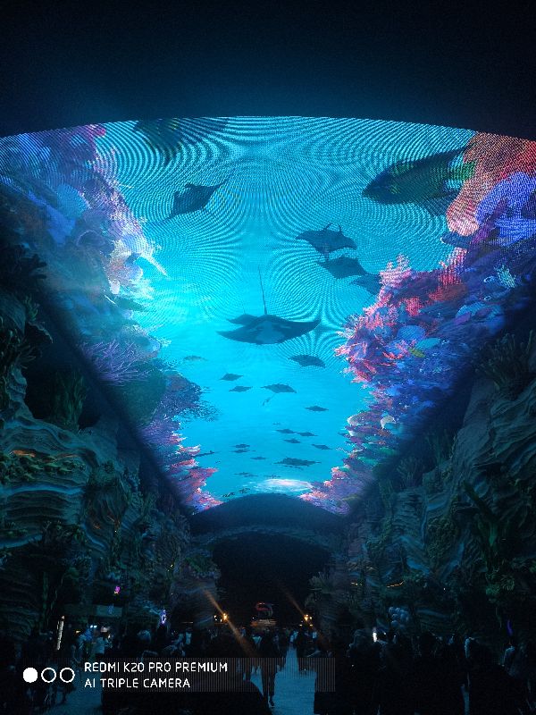 珠海长隆海洋公园在哪个区,珠海长隆海洋公园酒店