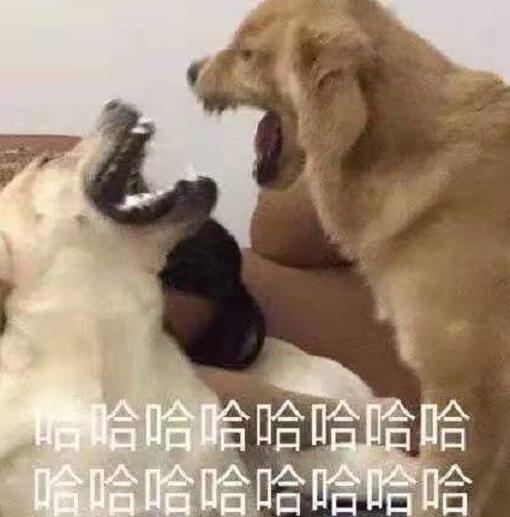 过年最容易被误解的专业,学的专业被误解