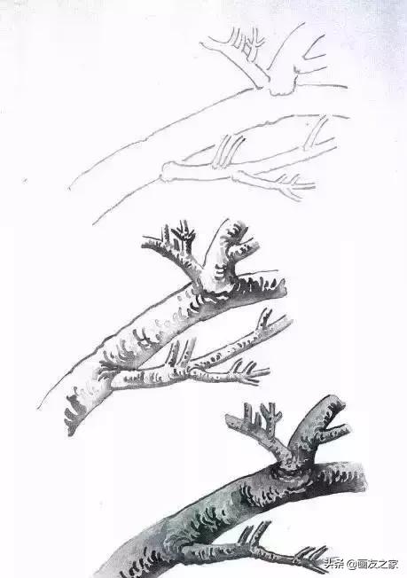 工笔梅花教学,工笔梅花设色技巧