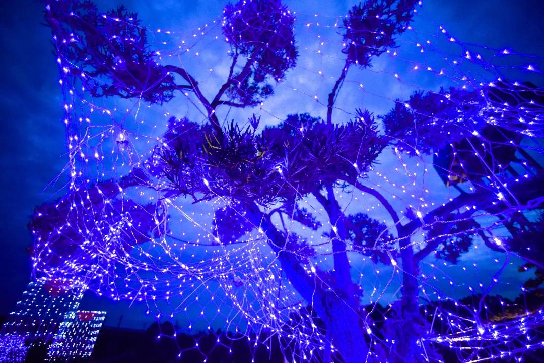 成都三圣乡恐龙主题公园,三圣乡恐龙主题公园地址