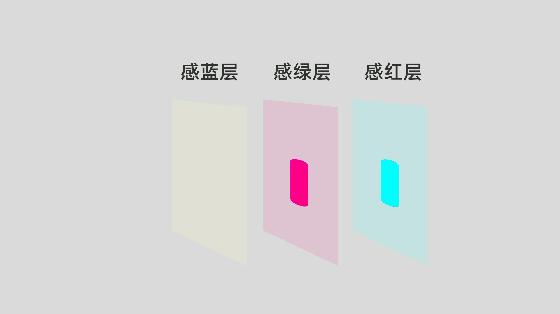 冲洗底片原理动画图,传统底片的冲洗的流程