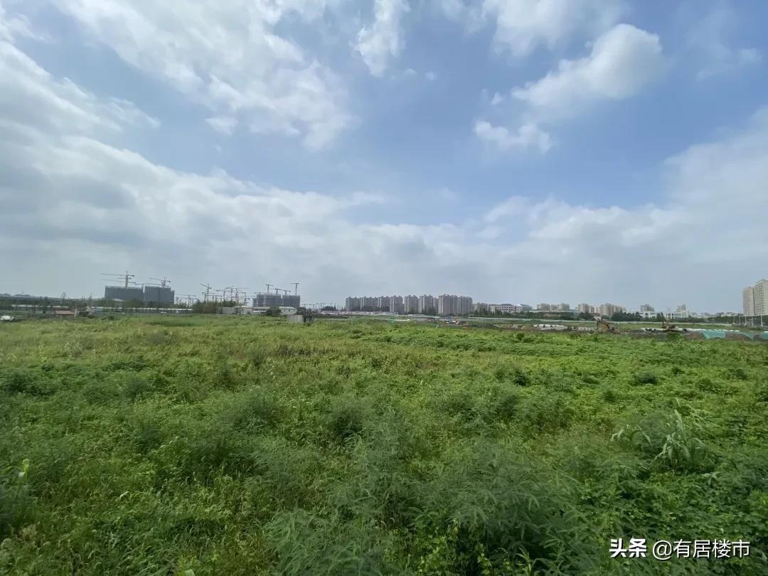 为什么唐镇这么火热,唐镇从哪里进