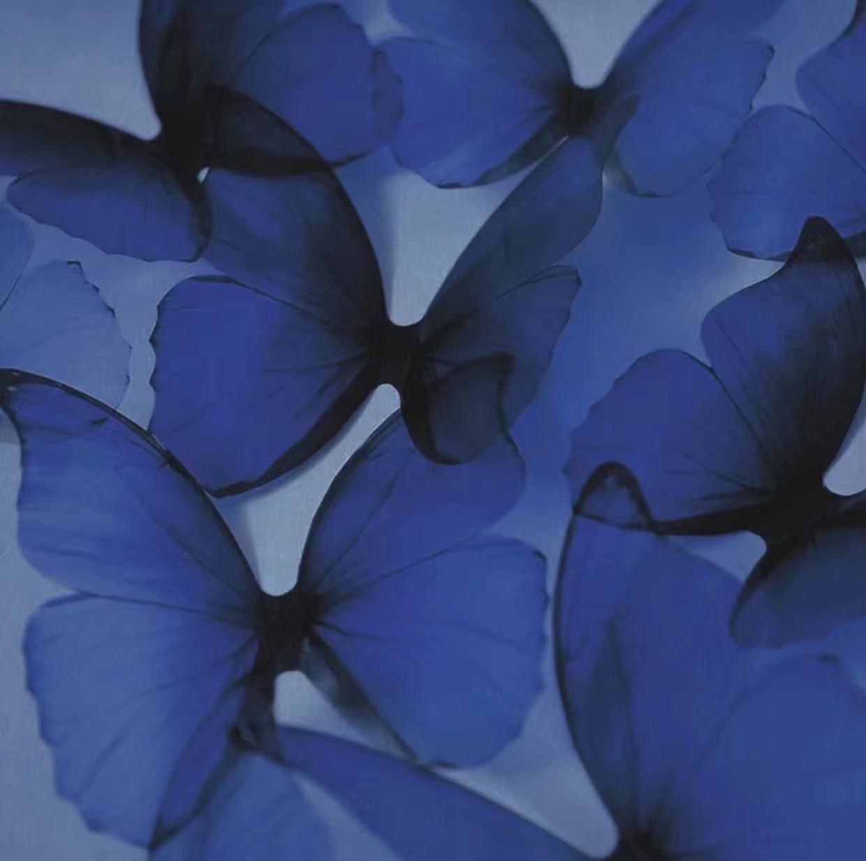 挑战卫生巾不用黑袋子装,卫生巾装在黑色袋子里