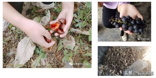 小明星美丽苗乡之旅，体验郭公坪风土人情，触发70.80.90儿时记忆