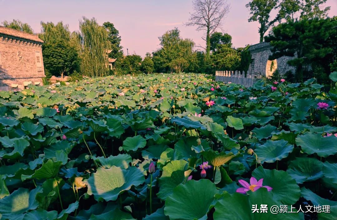 从东十八里铺到颍上,三王到颍上