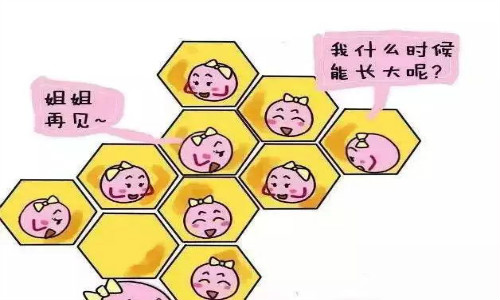 为什么卵泡长不大长不圆,为什么卵泡怎么也长不大不排