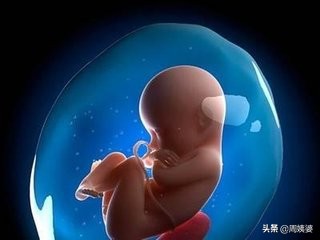 新生命如何诞生,新生命从哪开始的