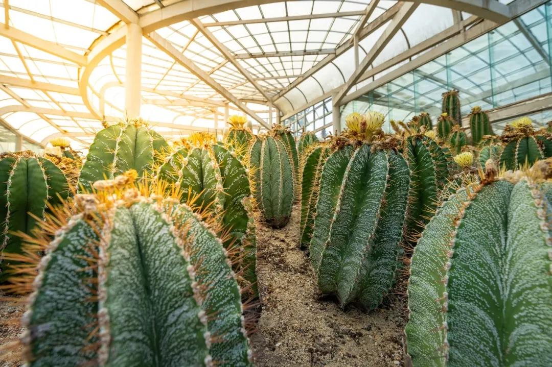 北京冬天亲子旅游攻略,8个国内亲子游旅行地推荐