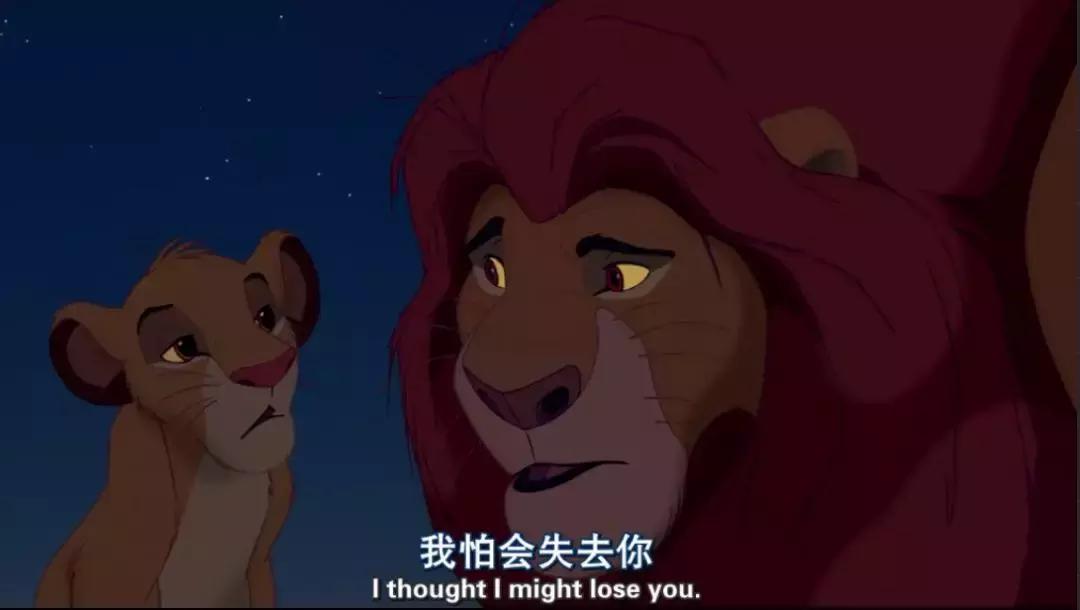 真实版的狮子王,现实版狮子王比想象的更残酷