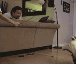 回家的路上看到这么多钱，背包都装不下啊，现在该怎么办