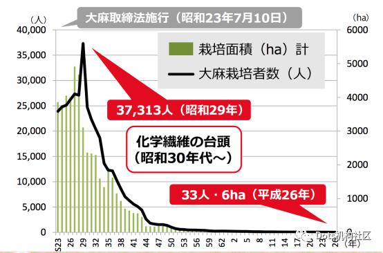 樱之*麻大**:日本*麻大**与CBD完全指南