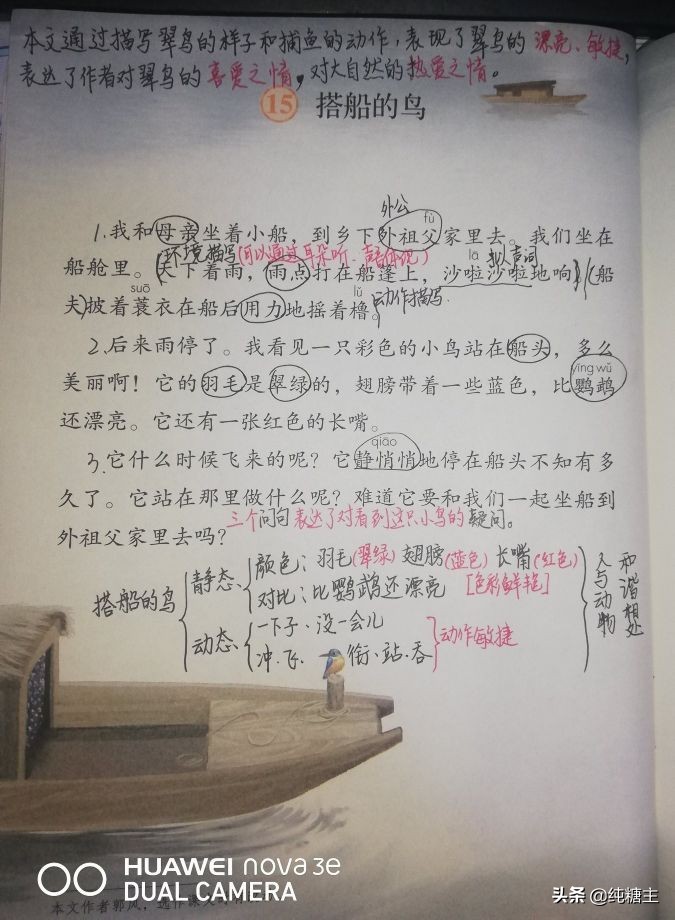 三年级语文上册搭船的鸟预习笔记,三年级搭船的鸟课文笔记